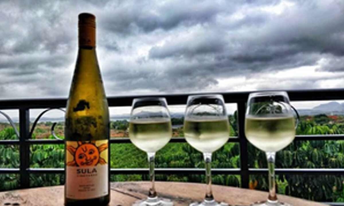 Sula Vineyards' revenue falls 7.9 pc in Q1; stock drops nearly 40 pc in 1 year