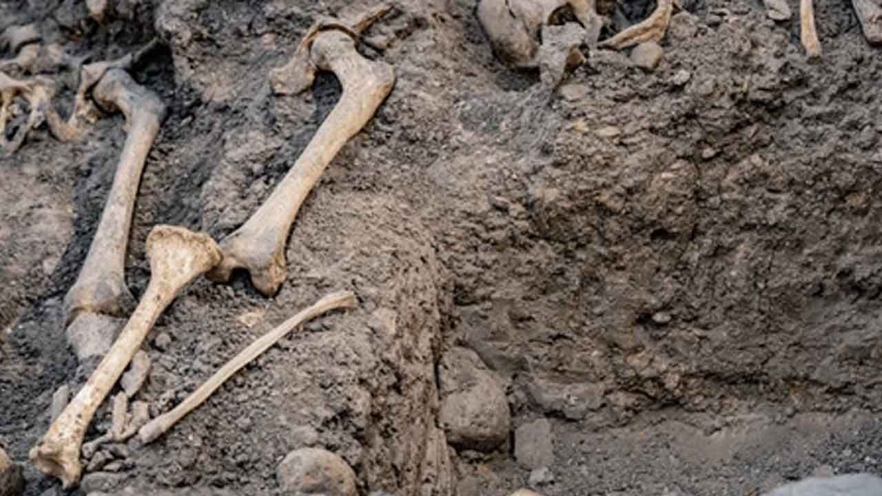 Human remains discovered after 7 yrs; cops launch investigation