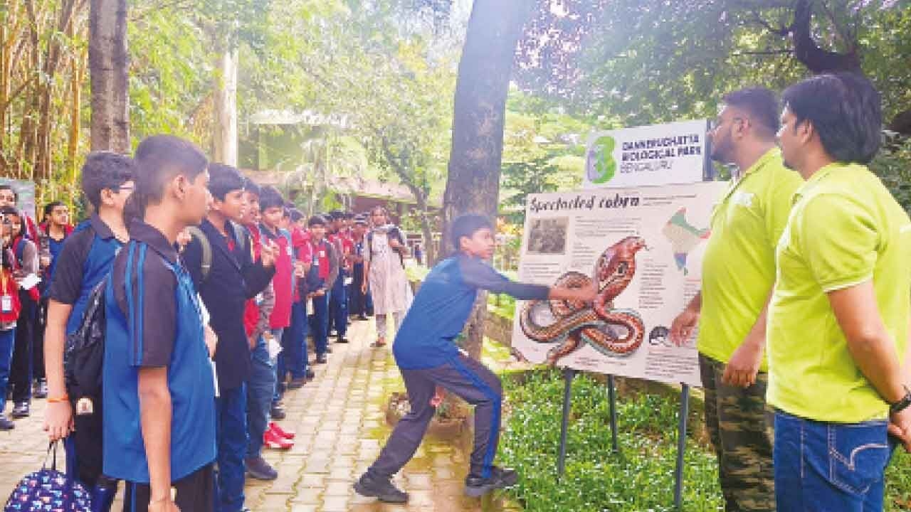 World Snake Day celebrated with conservation awareness, philately initiative
