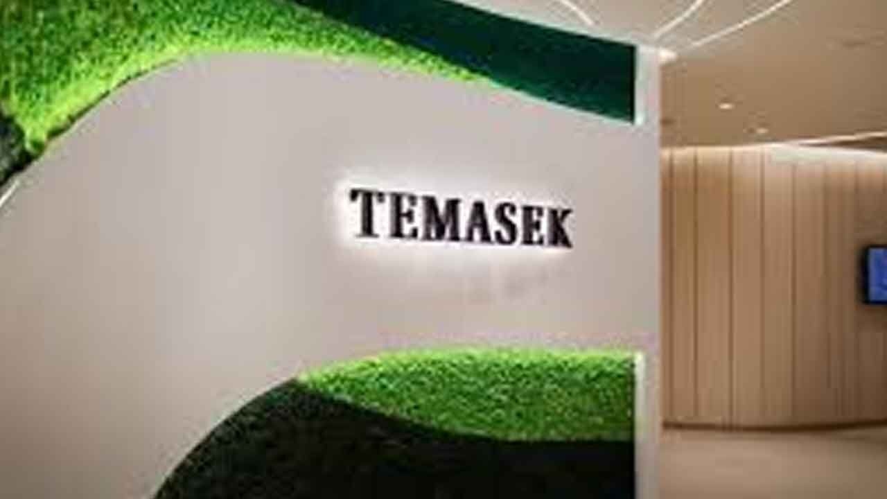 Temasek, others can invest more if the ecosystem is conducive