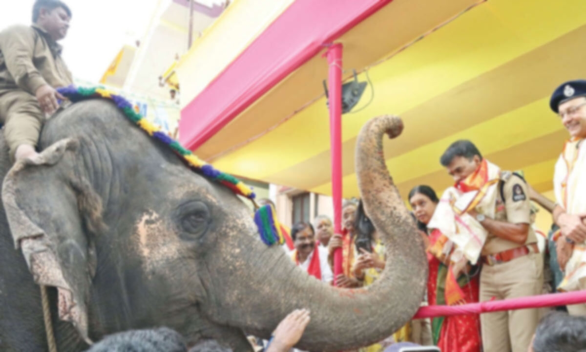 Hyd'bad top cop flags off grand Bonalu procession