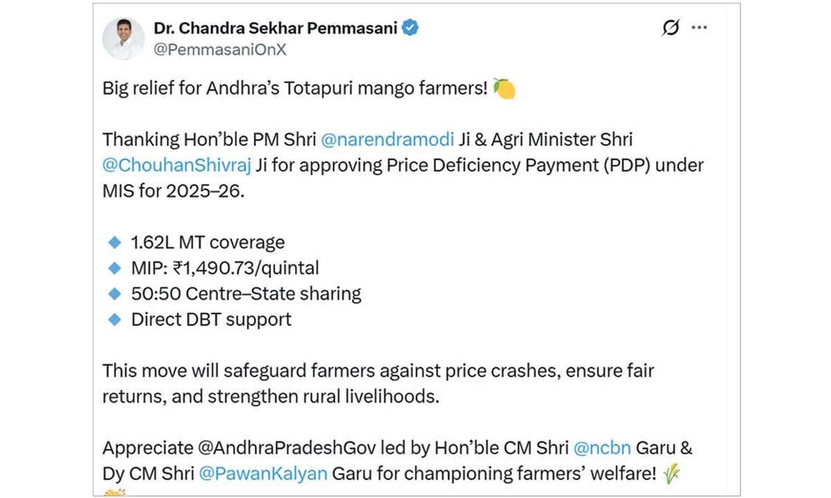 Centre okays Market Intervention Price for Totapuri mangoes