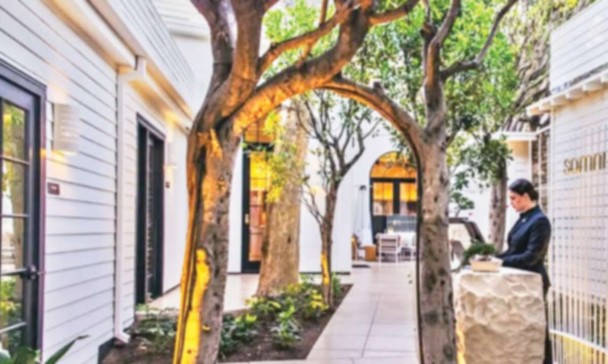 California's Culinary scene reaches new heights with 2025 MICHELIN guide selection