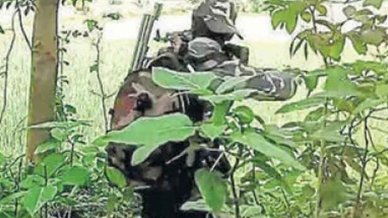 Chhattisgarh: 4 Maoists killed in Bijapur encounter; security forces recover arms and ammunition