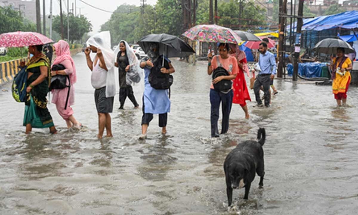 Monsoons driving preventable Hepatitis A and E cases in Delhi: Experts