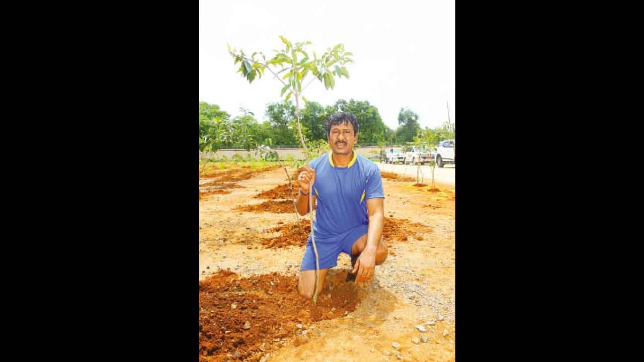 Singareni boss plants 204 saplings of fruit-bearing trees