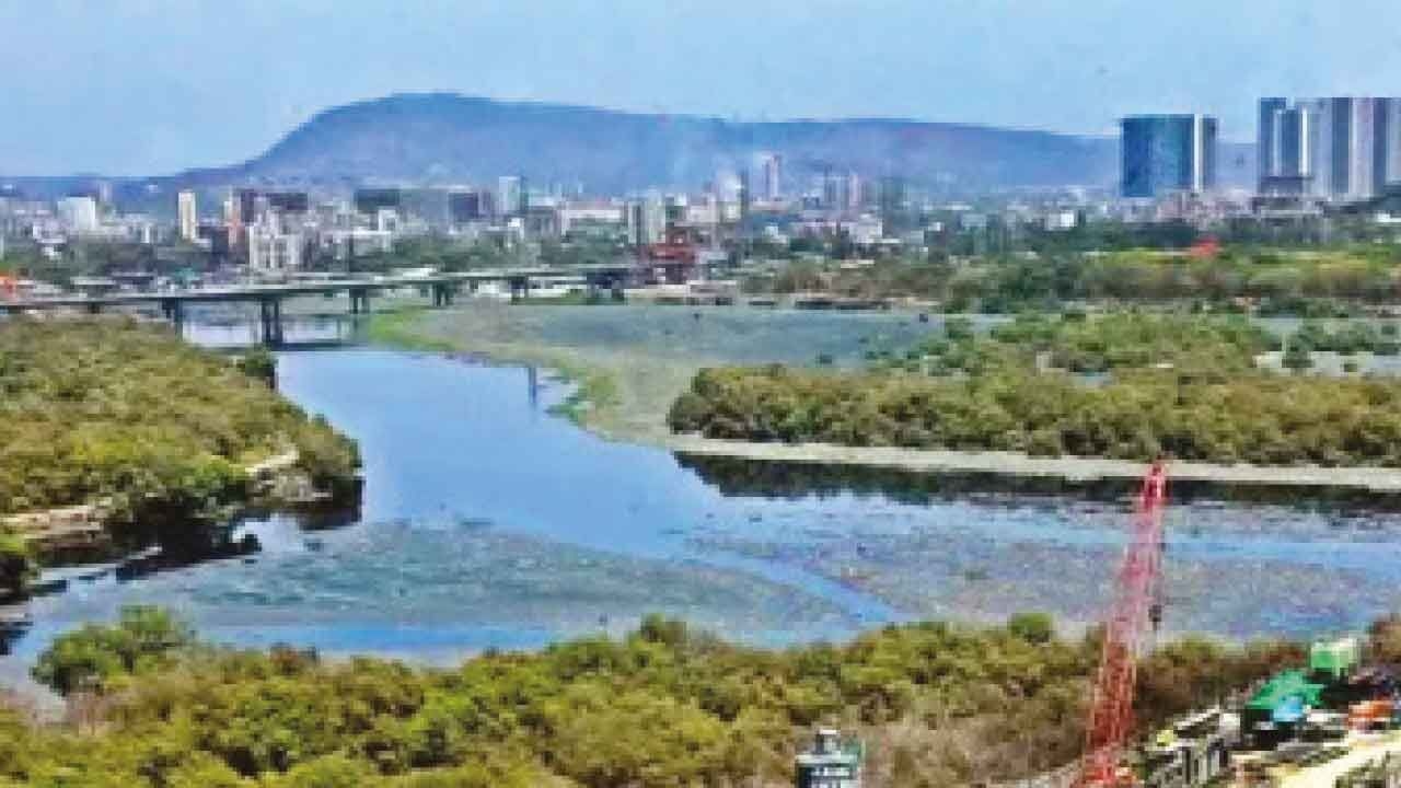 Mithi river desilting case: ED conducts fresh searches in Mumbai