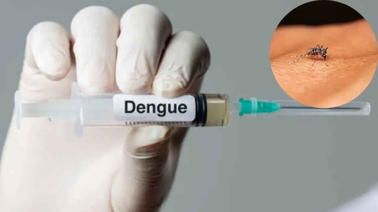 India Nears Completion of Phase III Dengue Vaccine Trials