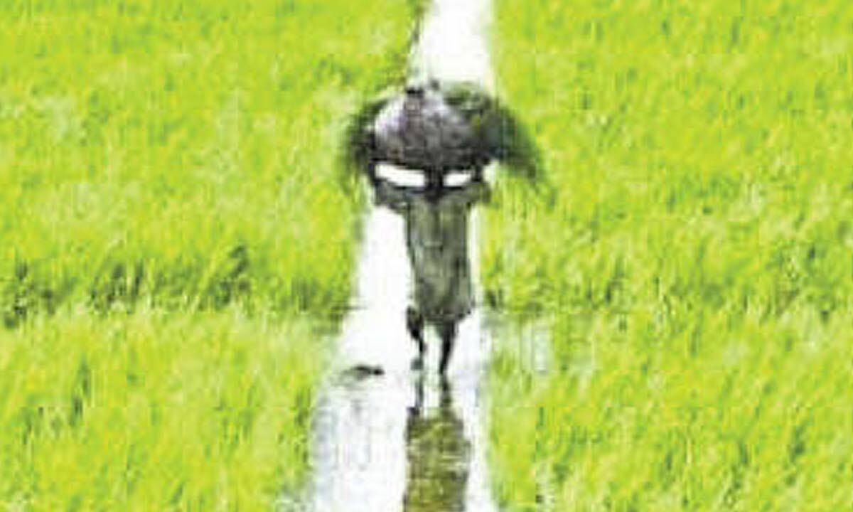 NAPA demands Punjab govt to withdraw land pooling scheme
