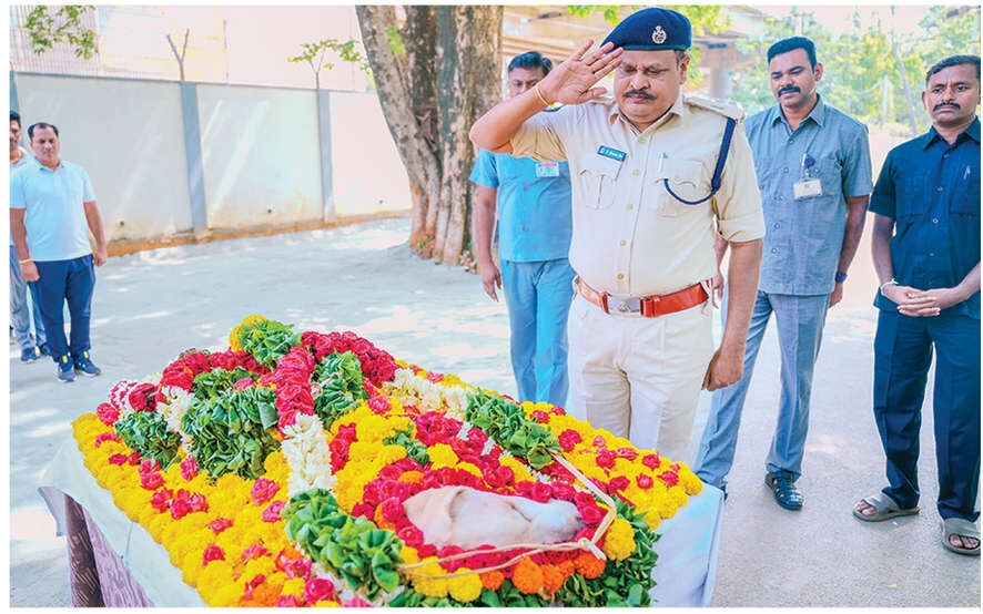 Police dog laid to rest