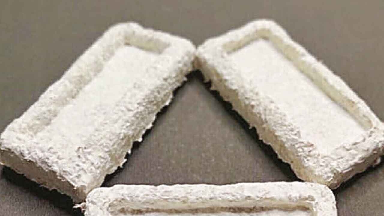 IIT Madras develops new agri-waste-based packaging material to help reduce plastic use
