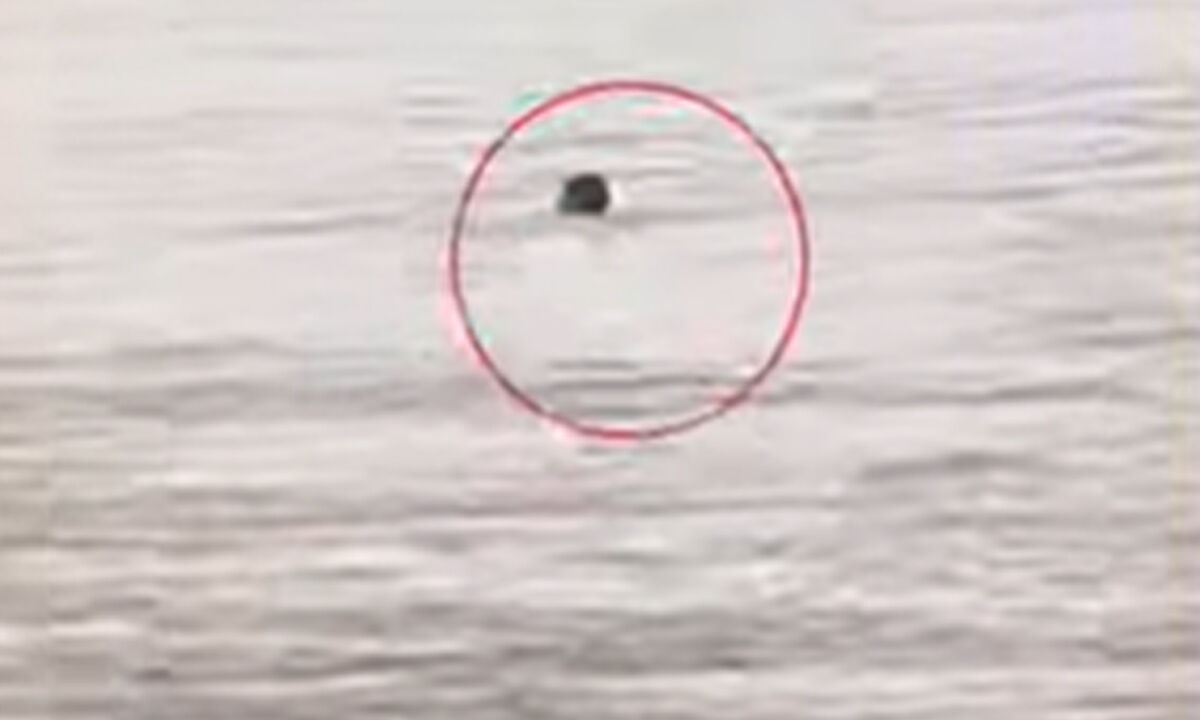 Man swept away by floodwaters in AP, escapes danger