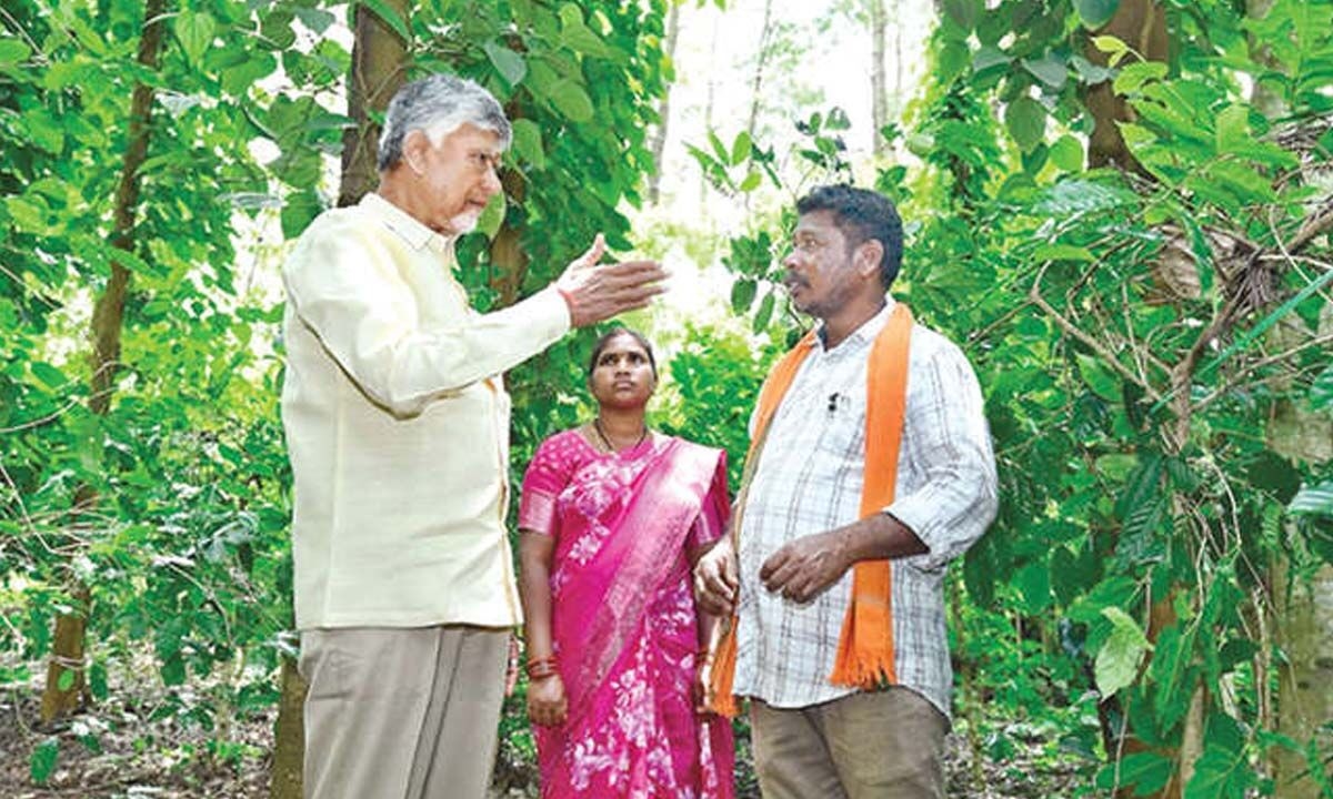CM: Focus on ganja-free agency to boost tourism