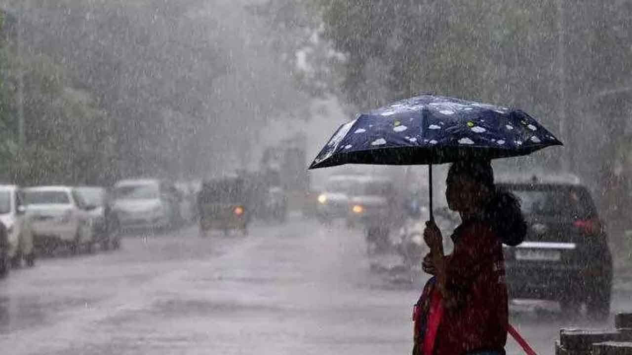 Punjab facing food threat owing to torrential rains