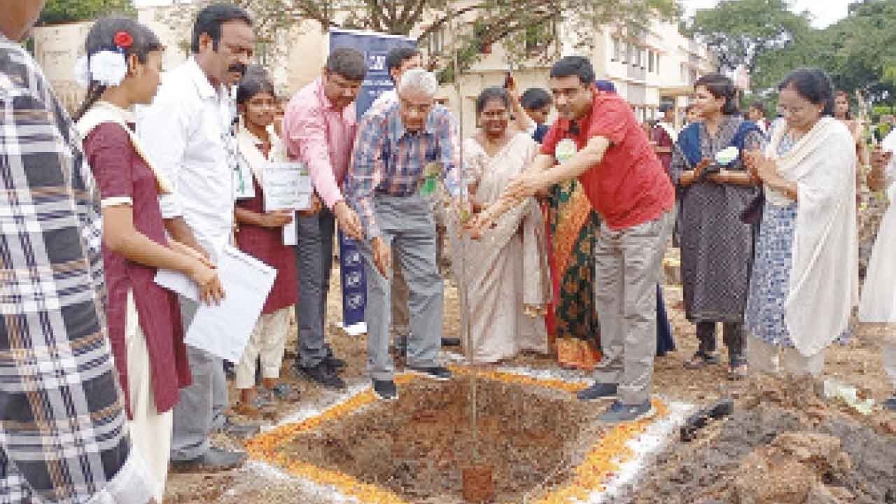 Plantation drive in Wyra constituency