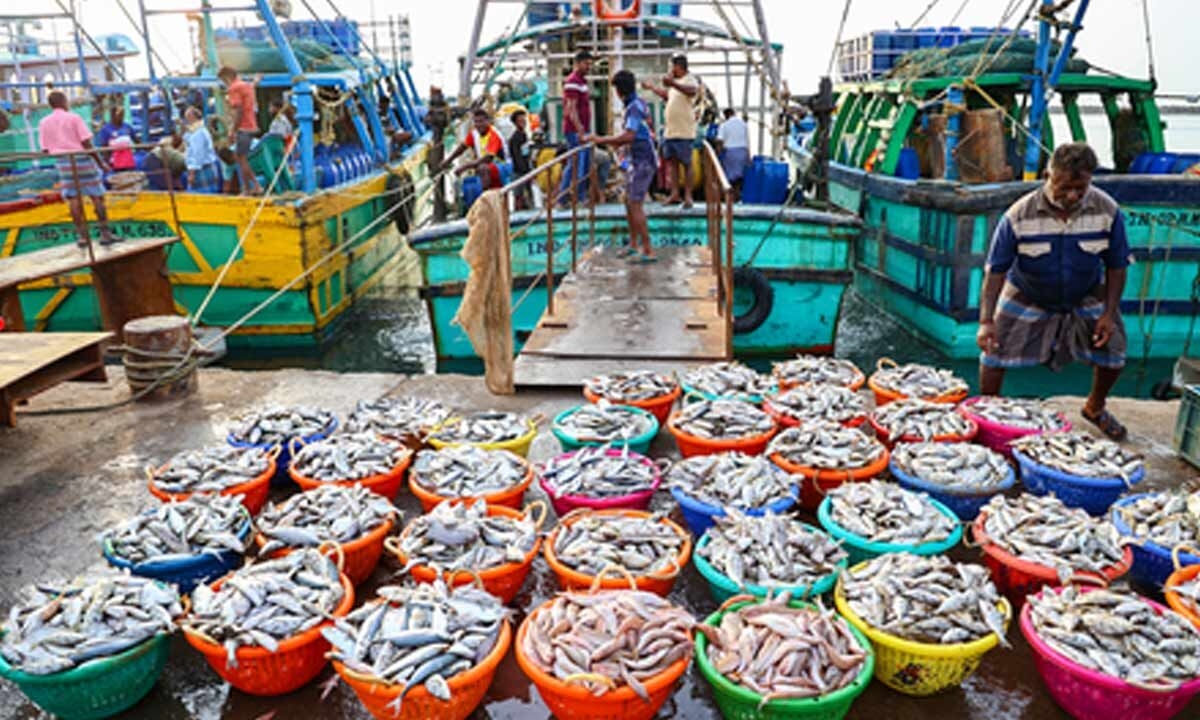 Identifying state-specific species key to boost India's seafood exports: Minister