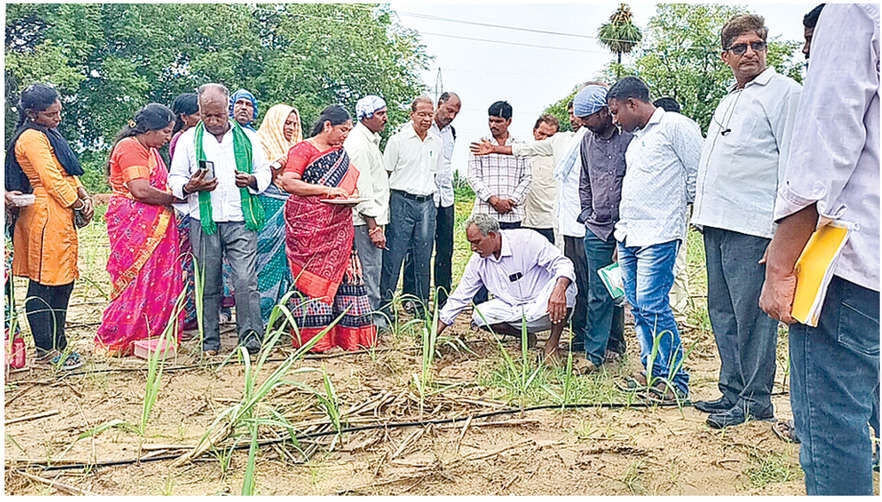 Natural farming skills shared at RASS