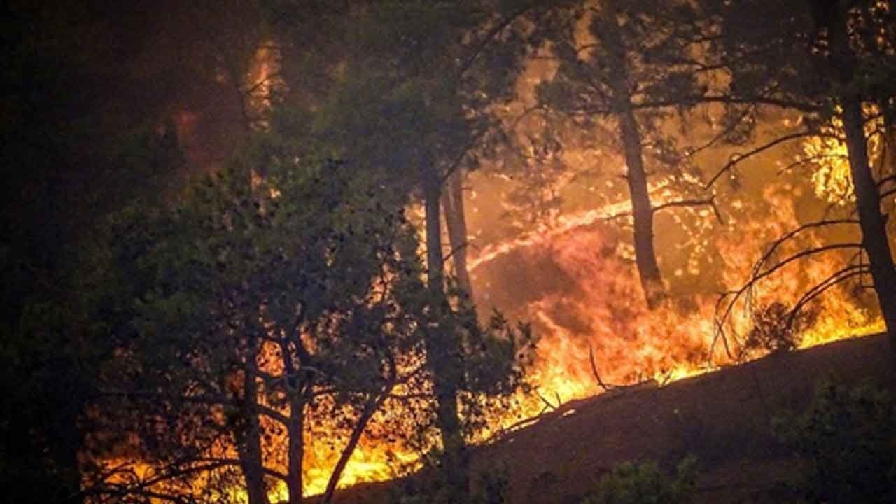 Europe wildfires double average as extreme risk expected into September