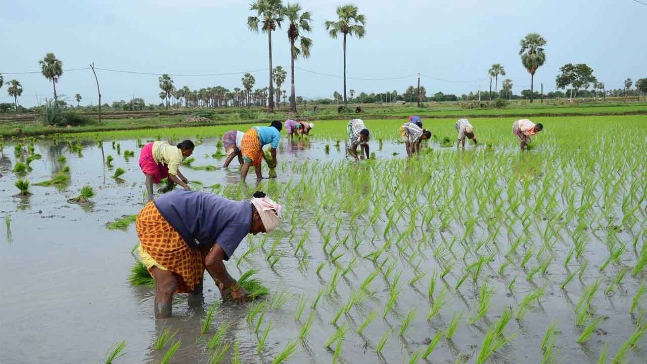 TG govt ‘renews' Rythu Bima, tweaks eligibility rules