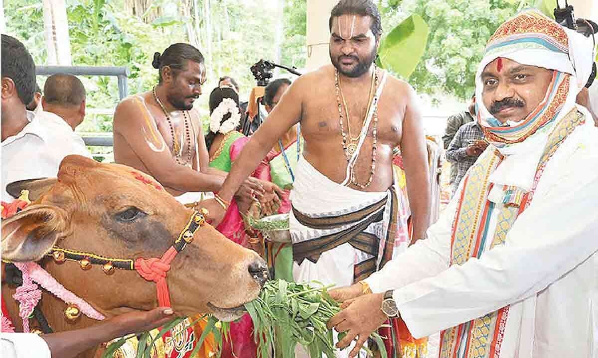Support us in protecting cows, TTD EO appeals