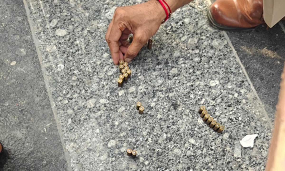 Gunmen fire several rounds at YouTuber Elvish Yadav's Gurugram home