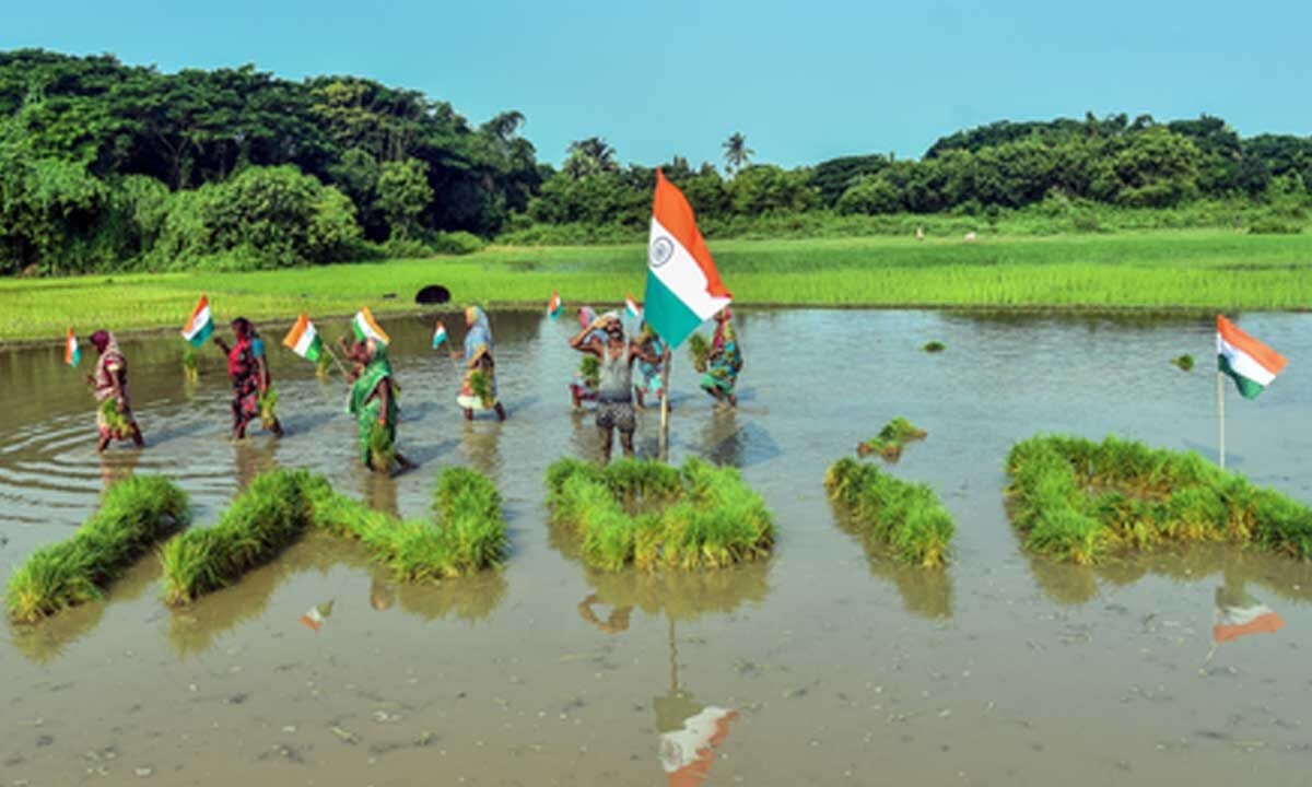 Over 25 crore Soil Health Cards distributed to farmers, Rs 1,706 crore released for scheme
