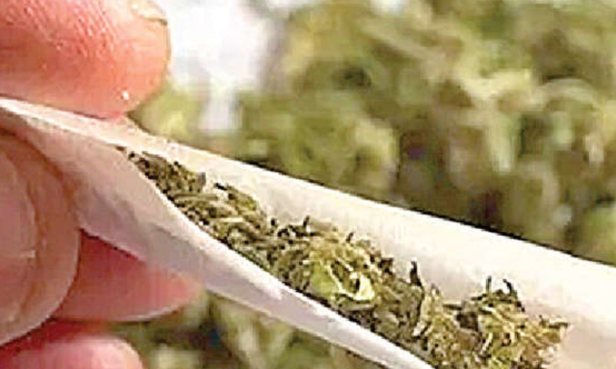 Police arrest one with 16 kg ganja