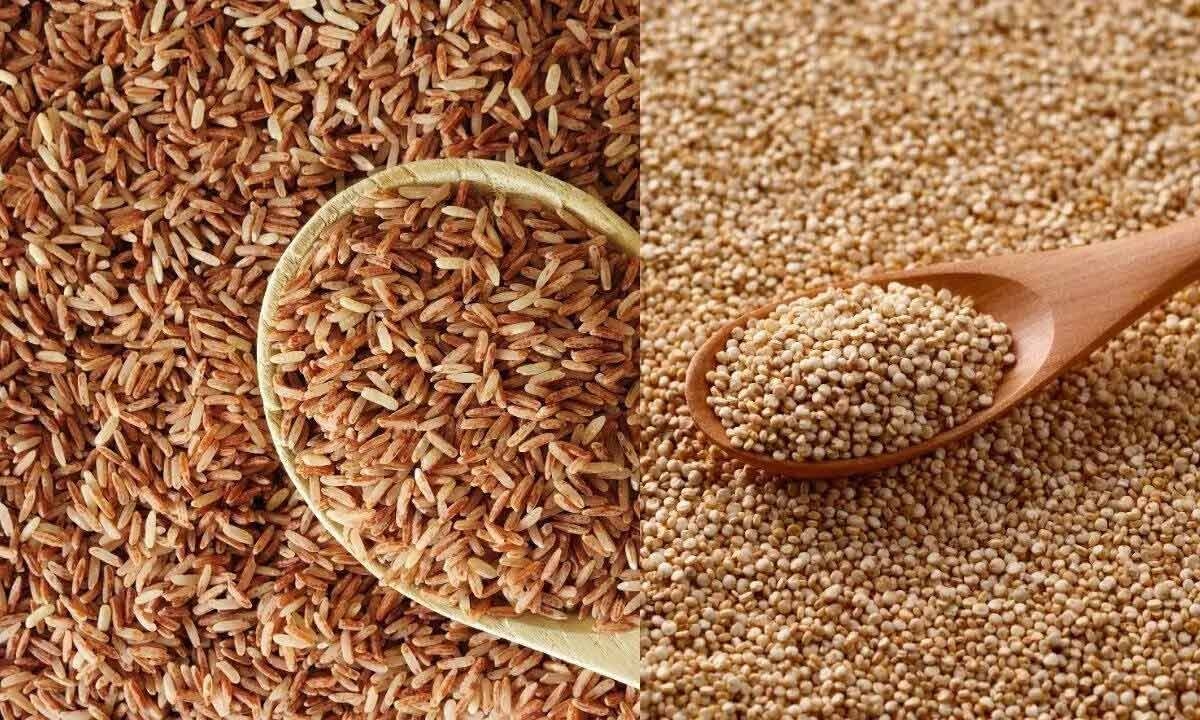 Brown Rice vs Quinoa: Which Grain Supports Better Blood Sugar Control?