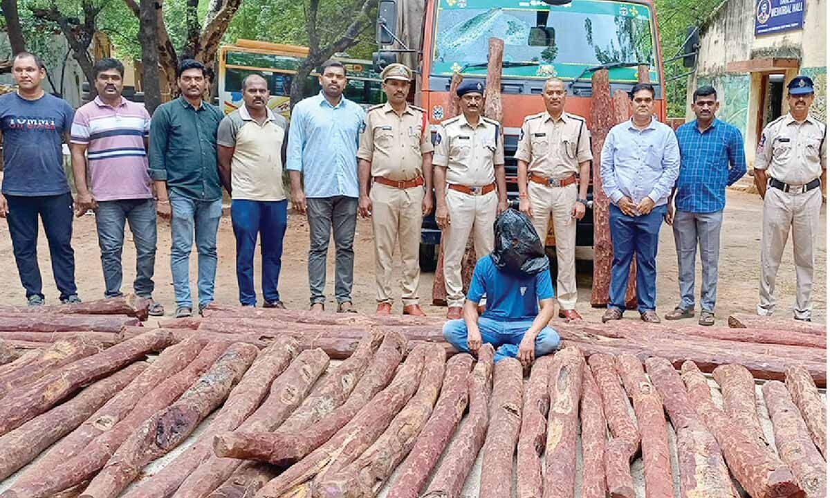 Taskforce red sanders worth Rs. 2 cr, arrests one smuggler