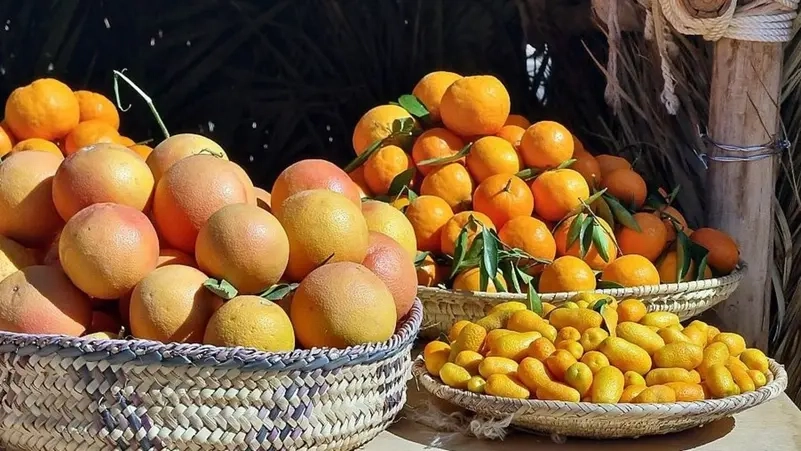 10 فوائد مدهشة لتناول برتقالتين يوميًا