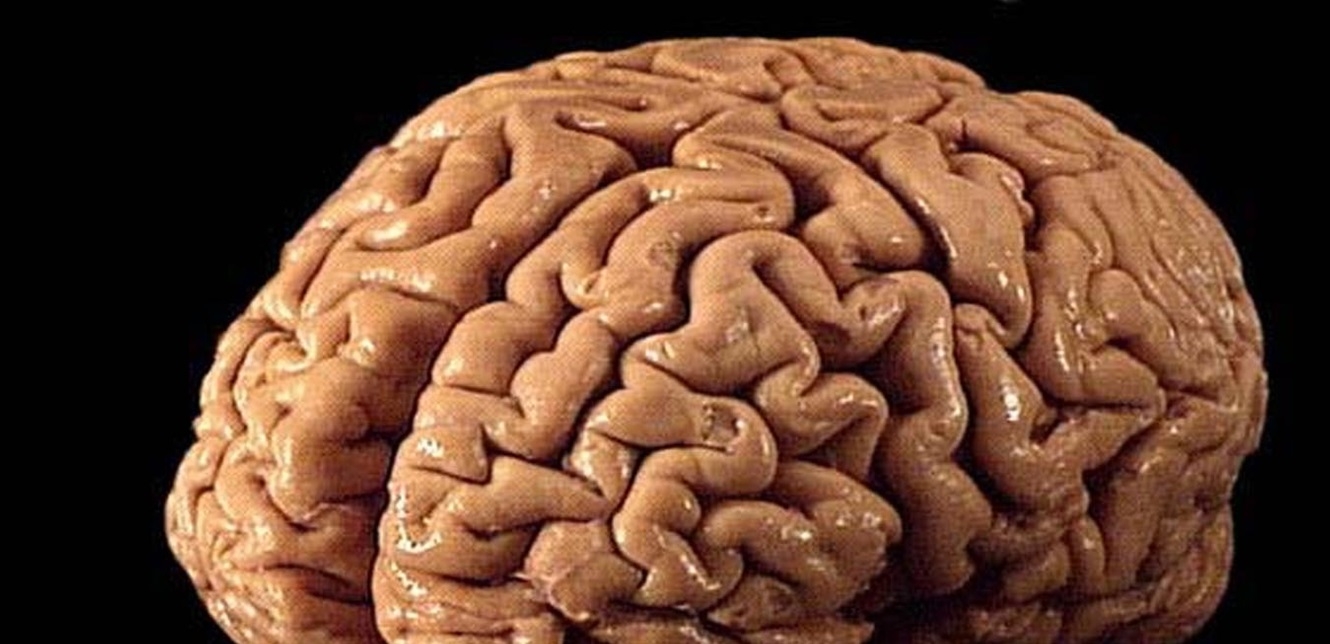 4 مشروبات تعزز صحة المخ
