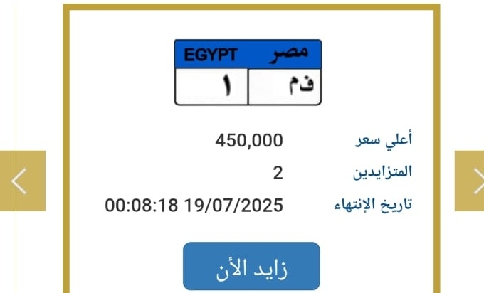 فور طرحها بساعات.. لوحة مرورية «تشعل» مزاد المرور بمئات الآلاف من الجنيهات «تعرف على رقمها»