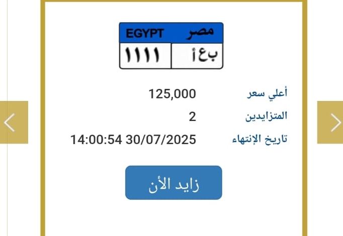 «1111».. تعرف على سعر أرخص لوحة مميزة مطروحة في مزاد المرور