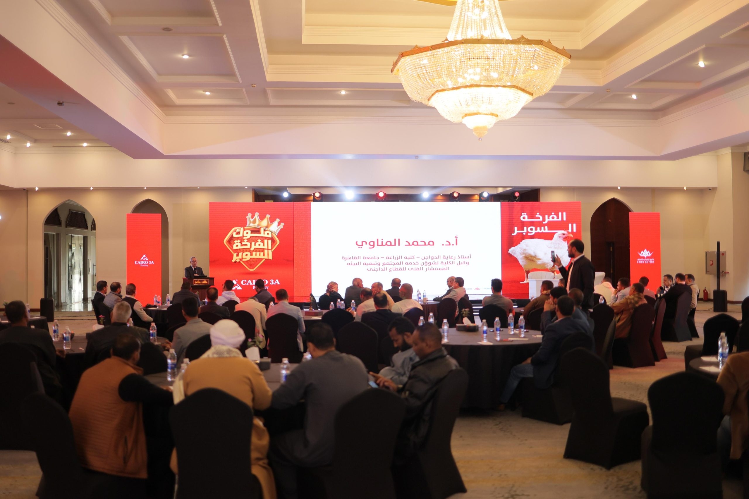 «كايرو ثري ايه» تعتزم ضخ استثمارات جديد بالقطاع الداجني بالصعيد