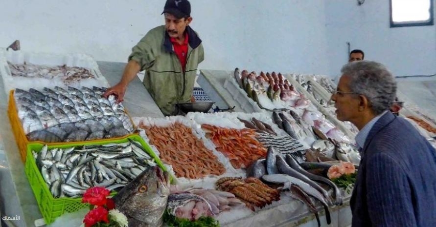 أضاحي وأسماك ولحوم.. أسعار السلع في أسواق العريش بشمال سيناء