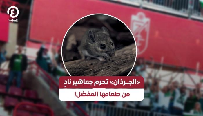 &laquo;الجرذان&raquo; تحرم جماهير نادٍ من طعامها المفضل