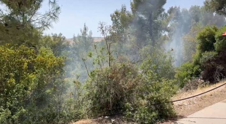مراسل "رؤيا": حريق في غابات ساكب واشتباه بأن يكون الحريق عملا مفتعلا