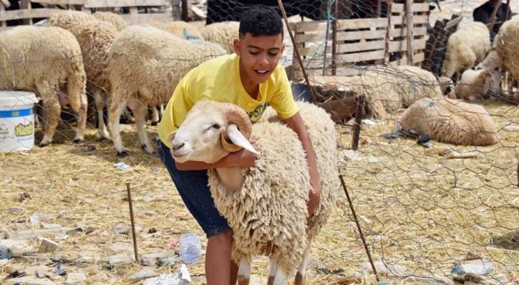 موعد تحري هلال شهر ذي الحجة وتوقعات عيد الأضحى والعطلة في الأردن