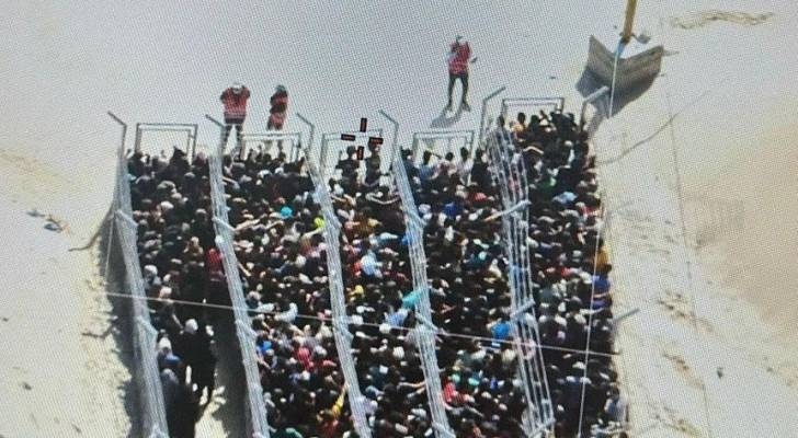 ‘Just like Auschwitz': Aerial footage of Gaza aid lines sparks outrage