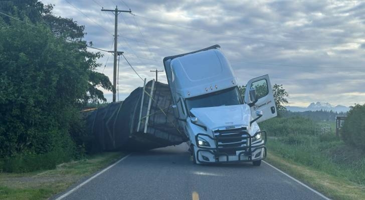 Quarter billion bees escape after truck overturns in Washington