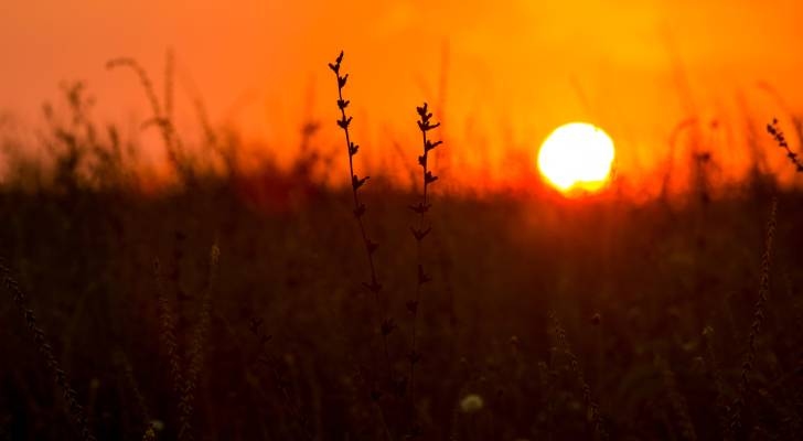Jordan forecasts scorching weekend temperatures