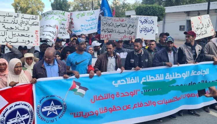 جامعة الفلاحة تطالب لقجع بتنفيذ الإلتزامات 'بسرعة'