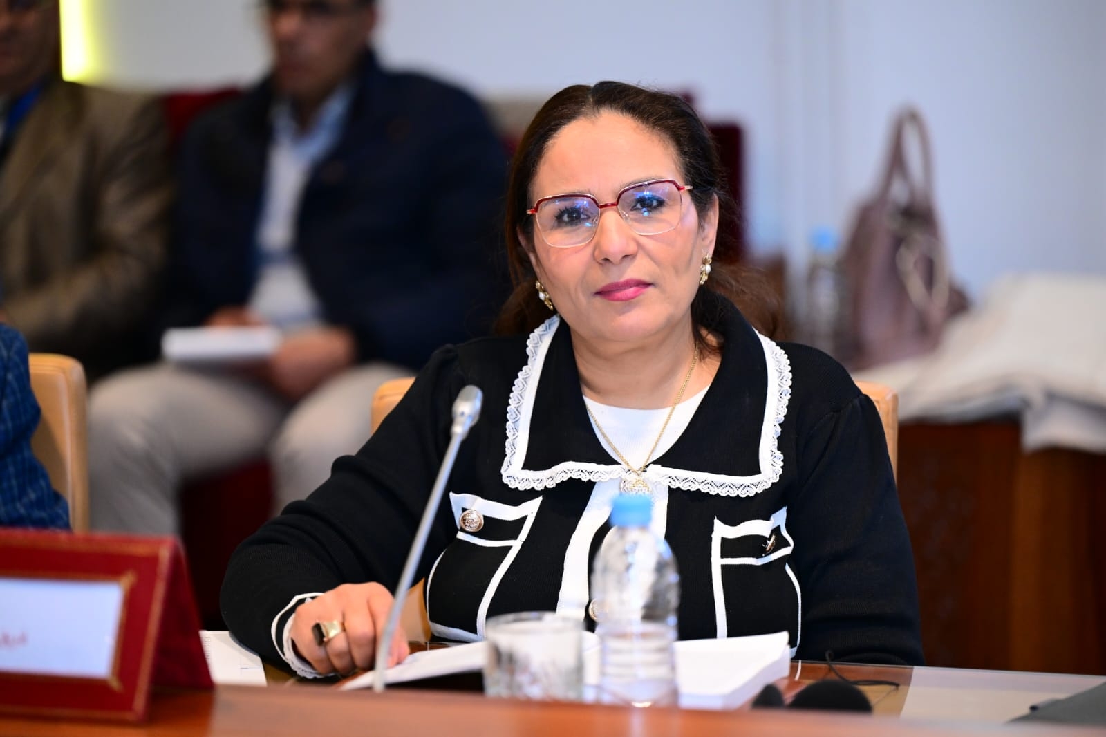 البرلمانية الصغيري تطالب بنسعيد بـ'حماية الفنانين الشباب'
