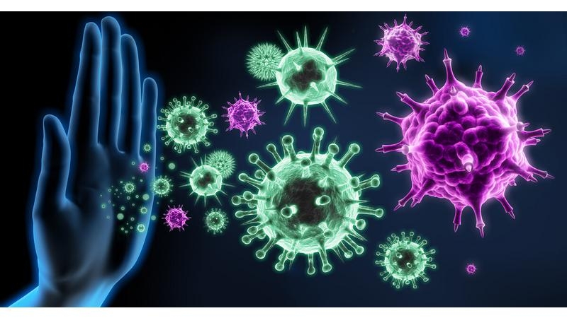 مراكش تحتضن مؤتمر 'محاربة الأمراض المعدية'