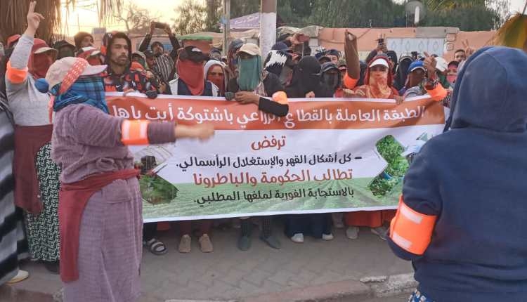 حملة احتجاجية دفاعا عن حقوق العاملات والعمال الزراعيين
