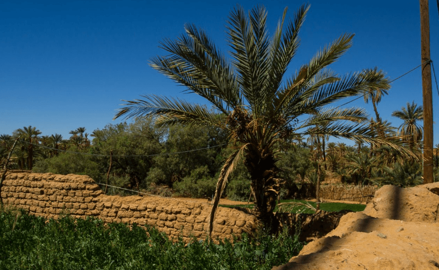 تقرير يكشف 'اختلالات' ويدعو لإصلاحات عميقة في الحكامة البيئية بالمغرب