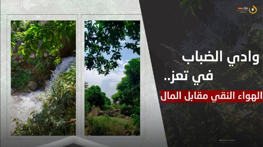 'وادي الضباب' في تعز.. الهواء النقي مقابل المال (تقرير)