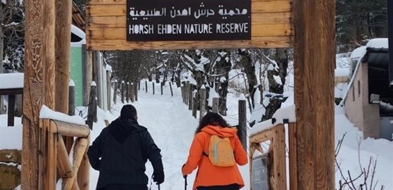 الثلوج تغطيها.. محمية حرج إهدن ترتدي الأبيض!