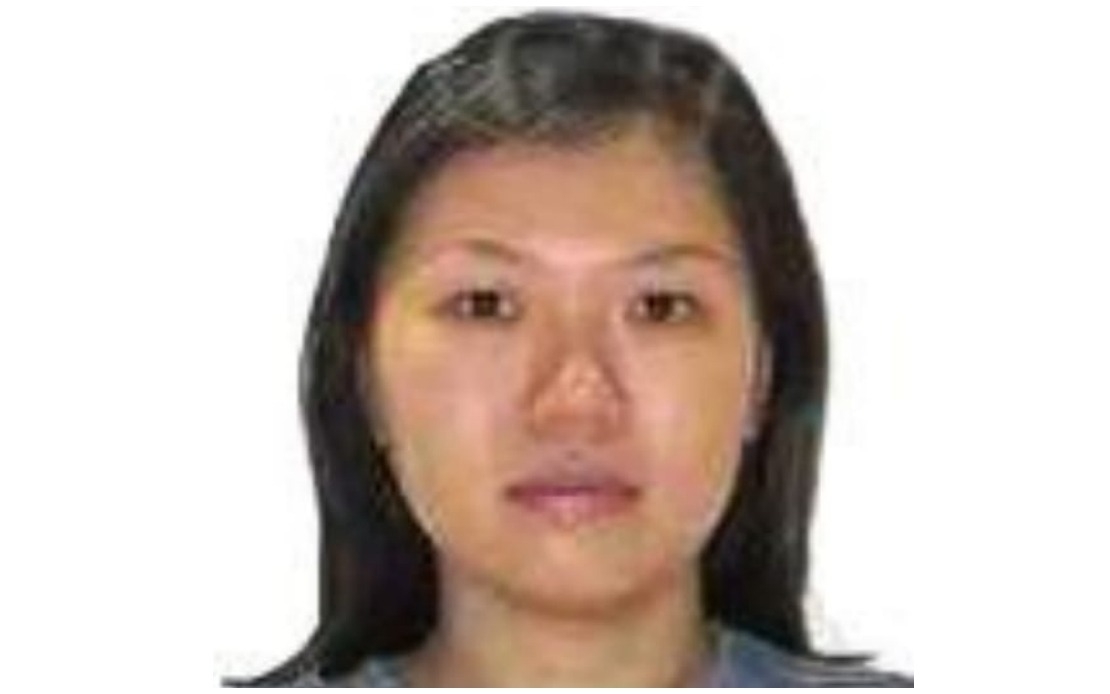 Pamela Ling's Disappearance: Cops Record Statements Of 47 Individuals, Still No New Leads