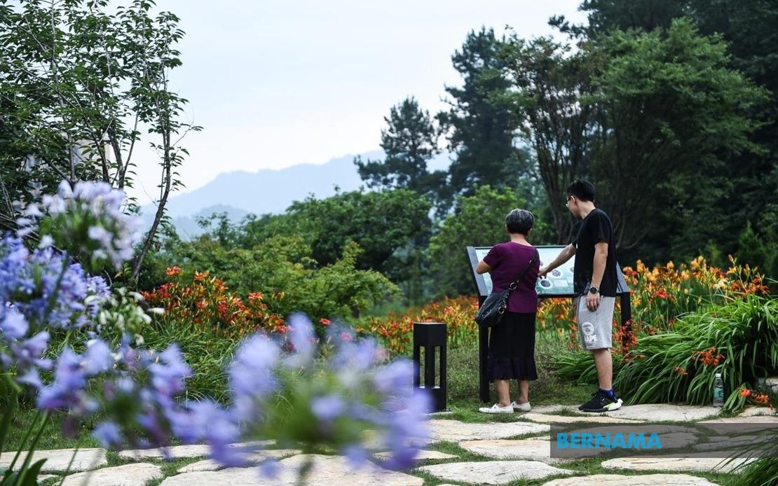 Guizhou Charts Green Growth Path With Strong Environmental, Industrial Gains